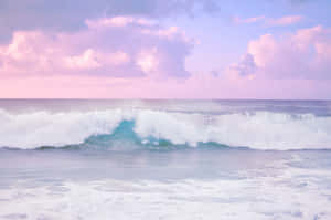美學海灘圖片