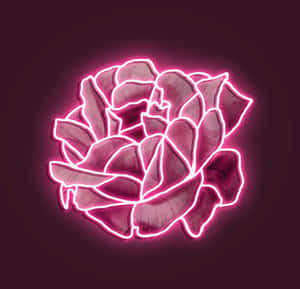 霓虹粉紅美學圖片 — 淺粉美學 壁紙