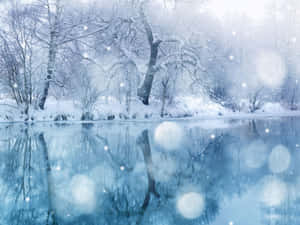 冬日雪景背景 — 雪景美學 壁紙