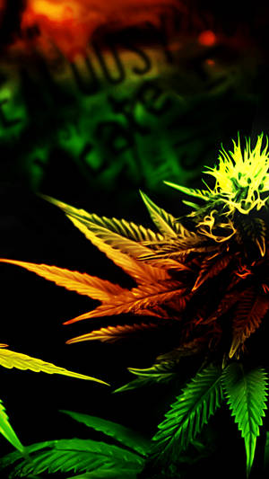 稀有植物鎖定螢幕桌布 — 锁屏 壁紙