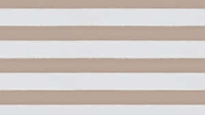 優雅米色美學展示 — 米色美學 壁紙