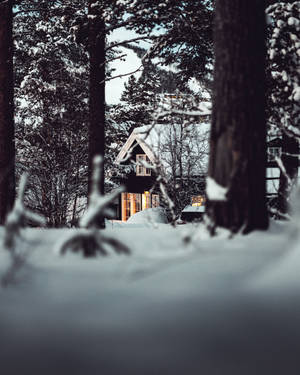 雪林中小屋溫暖燈光與雪屋頂 — 冬季 壁紙