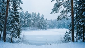 超寬冬季景觀中的雪林與冰凍湖泊。