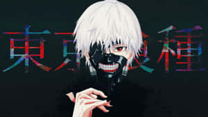 東京喰種圖片 — 东京食尸鬼 壁紙