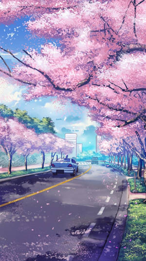 動漫櫻花 iPhone 桌布 — 花卉苹果手机 壁紙