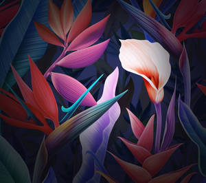 华为Mate 10 Pro花卉壁纸 — 华为 壁紙