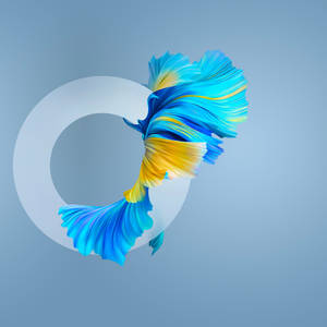 华为Mate 40 Pro鱼壁纸 — 华为 壁紙