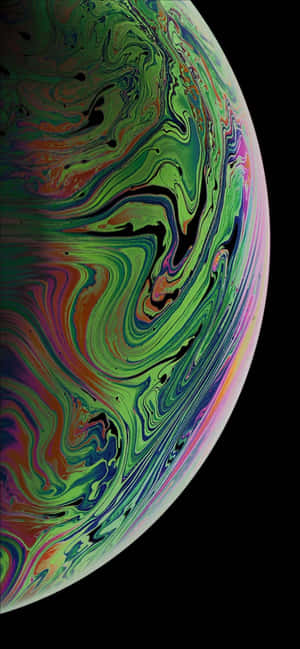 可愛無尾熊iPhone桌布 — iPhone X 壁紙