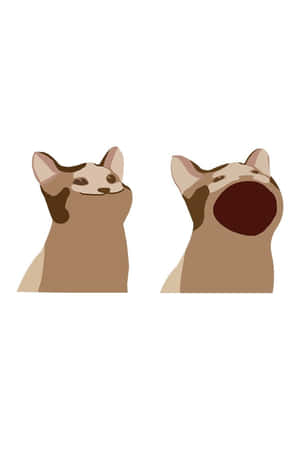 被诅咒猫咪图片 — 貓 壁紙