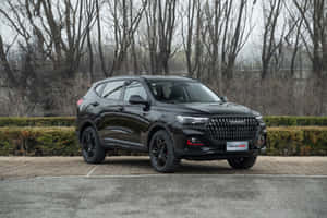 哈瓦爾時尚 SUV 馳騁道路 — Surface Pro 壁紙