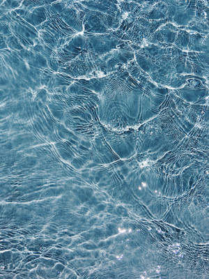 宁静涟漪水池壁纸 — iPhone 12 Pro 壁紙