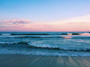 美學海灘圖片