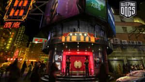 《睡狗》背景
