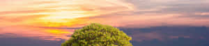 4K自然背景 — 4K 自然 壁紙