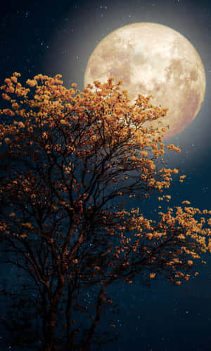 1200x2000 — Tecno Megapad 壁紙