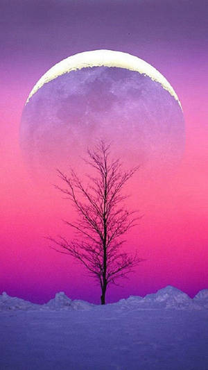 夜空明月壁纸 — 唯美月亮 壁紙