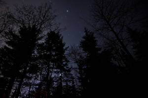 星空与森林夜景壁纸 — 夜晚 壁紙