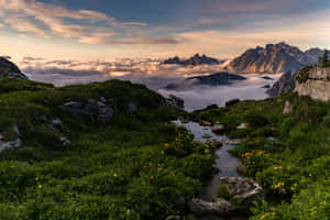 美丽的自然背景 — 美丽自然 壁紙