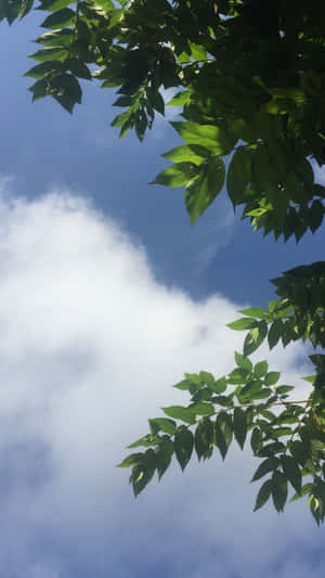 美學天空圖片 — 天空美学 壁紙