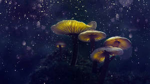 奇幻蘑菇美學 — 可爱蘑菇 壁紙