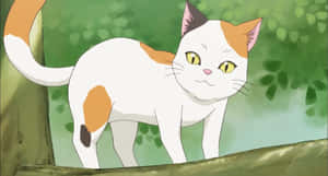 动漫猫咪图片 — 動漫貓 壁紙