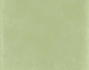 寧靜鼠尾草綠美學背景 — 淺綠色美學 壁紙