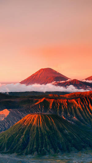 小紅山壁紙