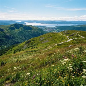 從山頂俯瞰滕斯貝格，野花與峽灣交織的鮮活景色 — Pixel Watch 5 壁紙