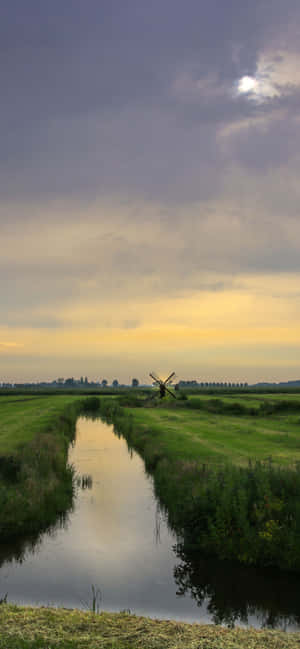 1242x2688 — Galaxy S26 壁紙