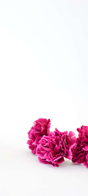 1080x2400 — 小米17 Pro 壁紙