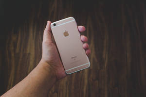 手持玫瑰金iPhone 6壁纸 — iPhone Se 壁紙
