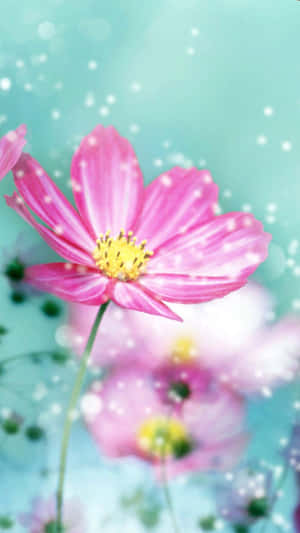 捕捉自然之美：絢麗花朵iPhone桌布 — 花卉苹果手机 壁紙