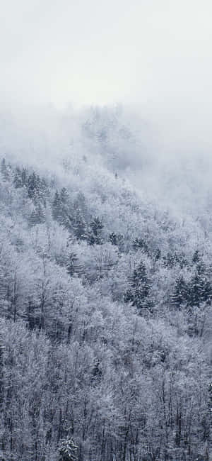 雪白 iPhone — iPhone 18 Pro Max 壁紙