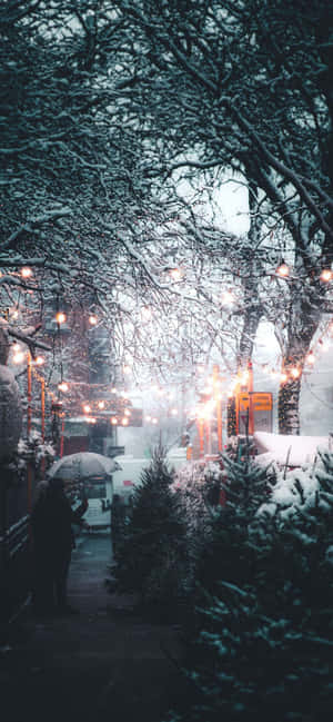 雪景美學圖片 — 雪景美學 壁紙