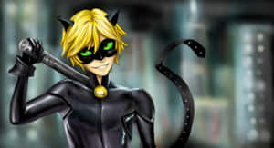 Cat Noir 圖片