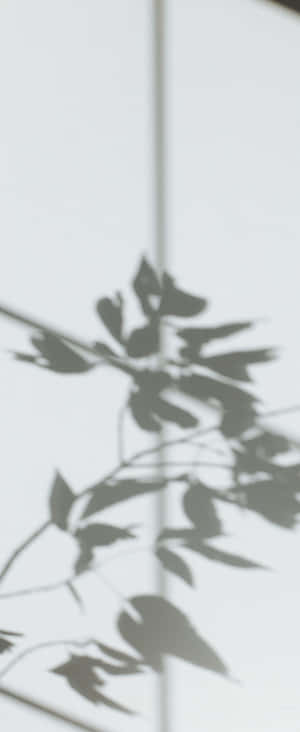 1080x2636 — Z Flip 5 壁紙