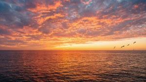 壮丽的日落映照海洋，色彩斑斓，波光粼粼。 — 天空景观 壁紙