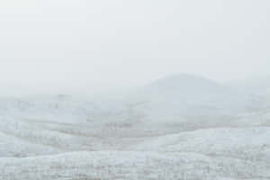 雪景美学图片 — 雪景美學 壁紙