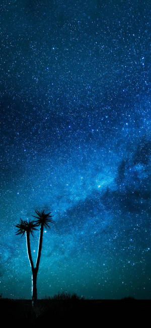 星空夜蓝iPhone — iPhone 18 Pro Max 壁紙