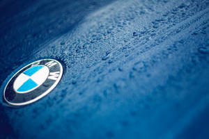 BMW標誌在藍色車上帶有水珠的特寫桌布