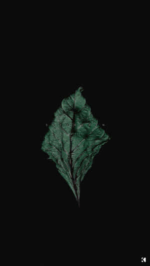 時尚簡約的Dark Phone，專為您的隱私而設計。 — 暗色手机 壁紙