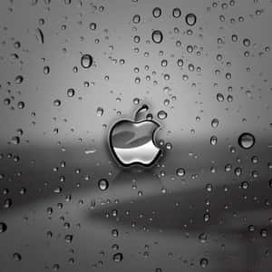 暗色可愛iPad — 可愛的 iPad 壁紙