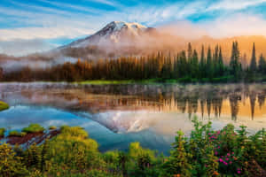 美麗自然背景 — 美丽自然 壁紙