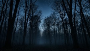 暮色中黑暗森林的剪影，伴隨著薄霧與星光。 — 黑色美学 壁紙
