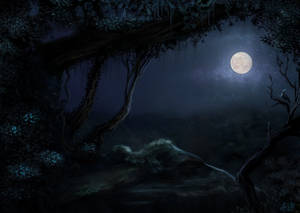 森林空地月夜星空 — 月亮夜空 壁紙