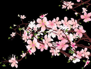 日本櫻花PNG剪貼畫 - 無背景櫻花，透明PNG