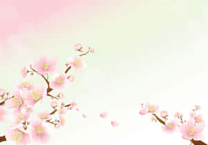 櫻花背景 — 櫻花 壁紙