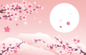 櫻花背景 — 櫻花 壁紙