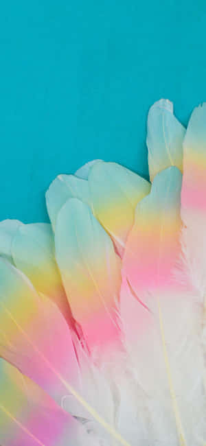 1080x2340