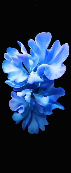 Samsung S20 FE水晶藍花 — 三星 Galaxy S20 壁紙